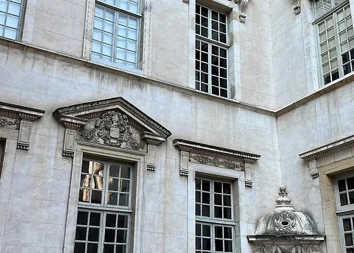 アパート Loft & Privatif ディジョン